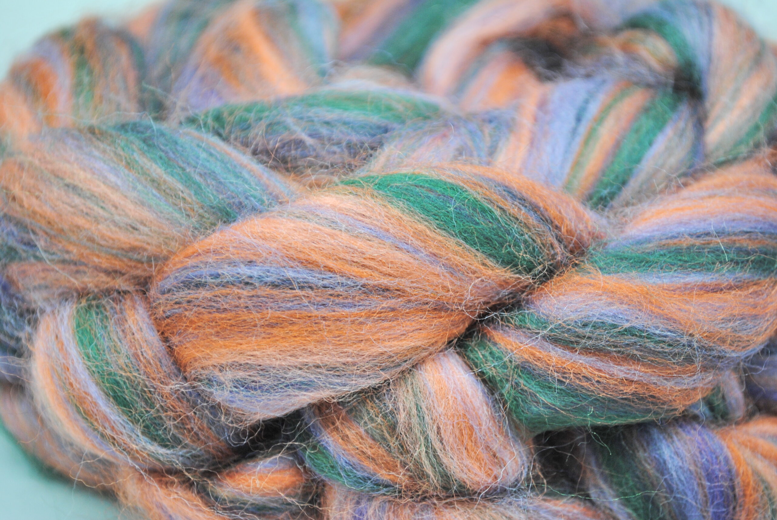 Autumn Lakeland Roving S