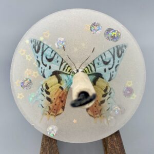 Butterfly Drop Spindle