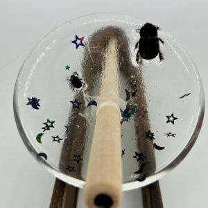 Midnight Beetles Drop Spindle