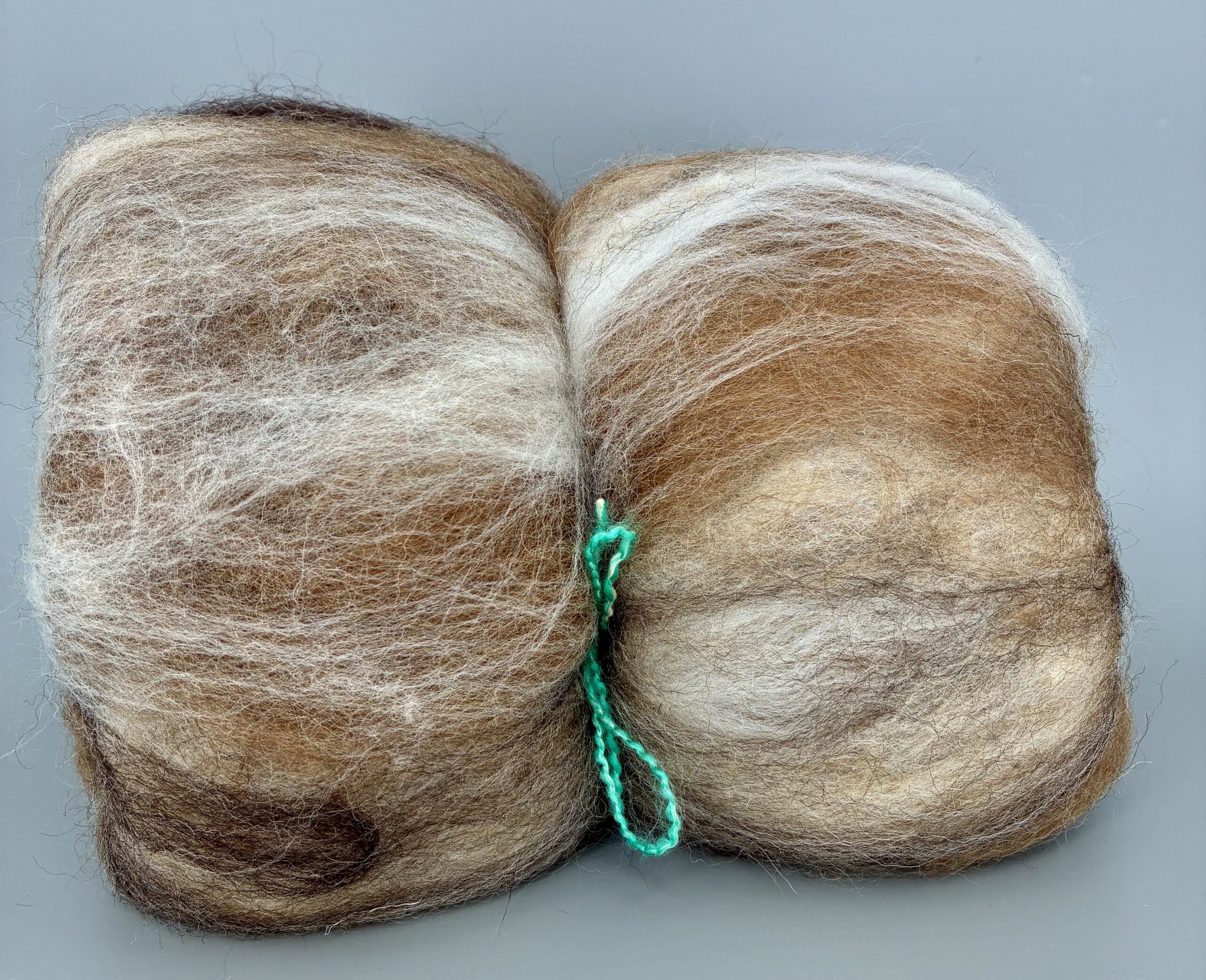 Jackelope batt1