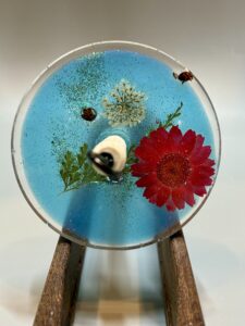 Lady Bugs Drop Spindle