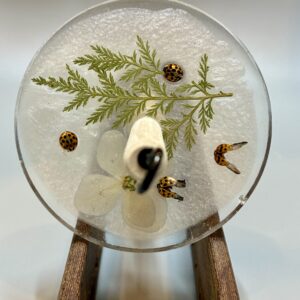 Elegant Ladybugs Drop Spindle